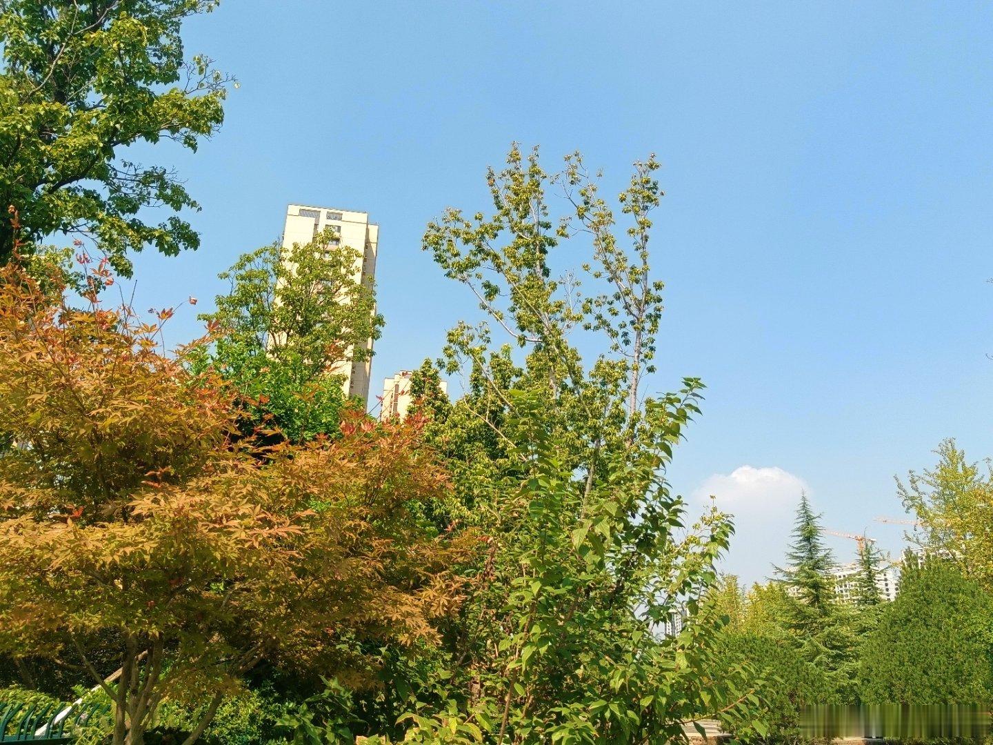 手机摄影[超话] 天地明媚风光无限好 ​​​