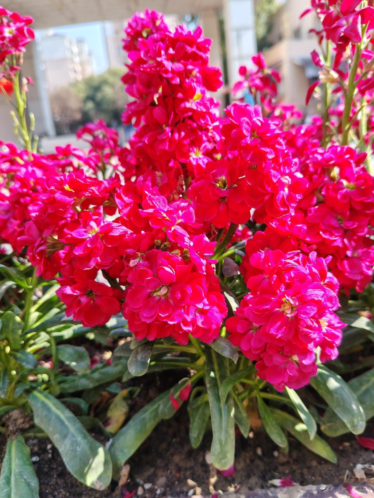 晒图笔记大赛是不是春天已经来了？