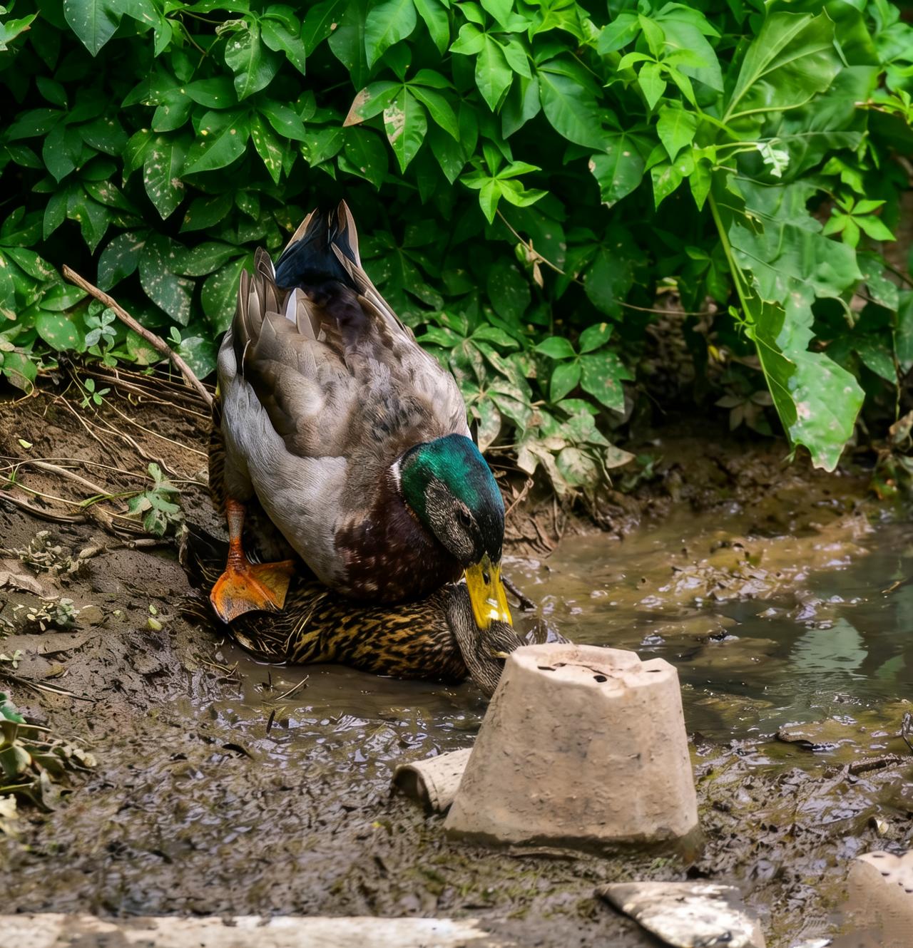 生命怎样练成的
