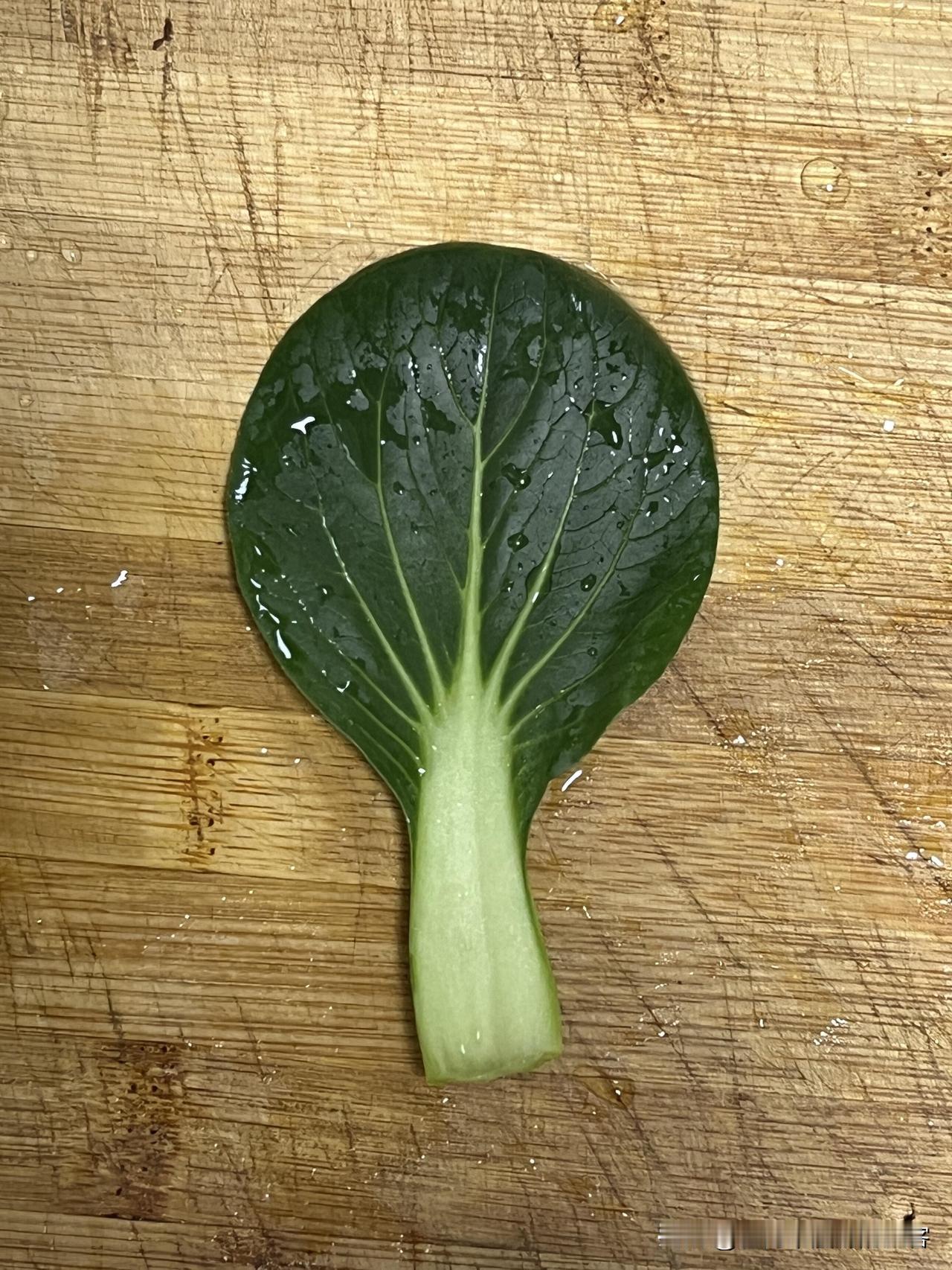 刷到就是治愈！丧子又患癌的山东大姨，清晨遛弯儿的样子太戳心了

四年前啊，她那独