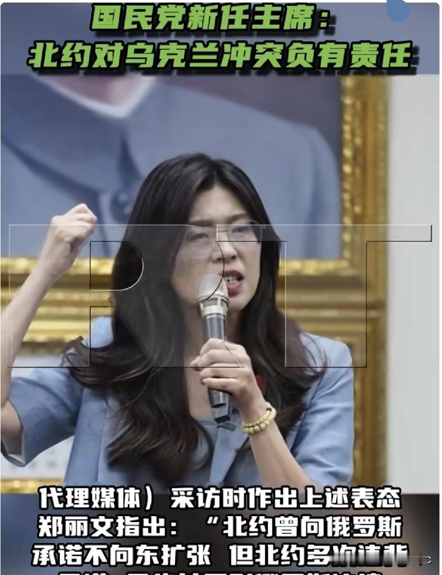 中国国民党新任党主席的郑丽文11月1日在接受德国之声采访时表示，北约东扩是乌克兰