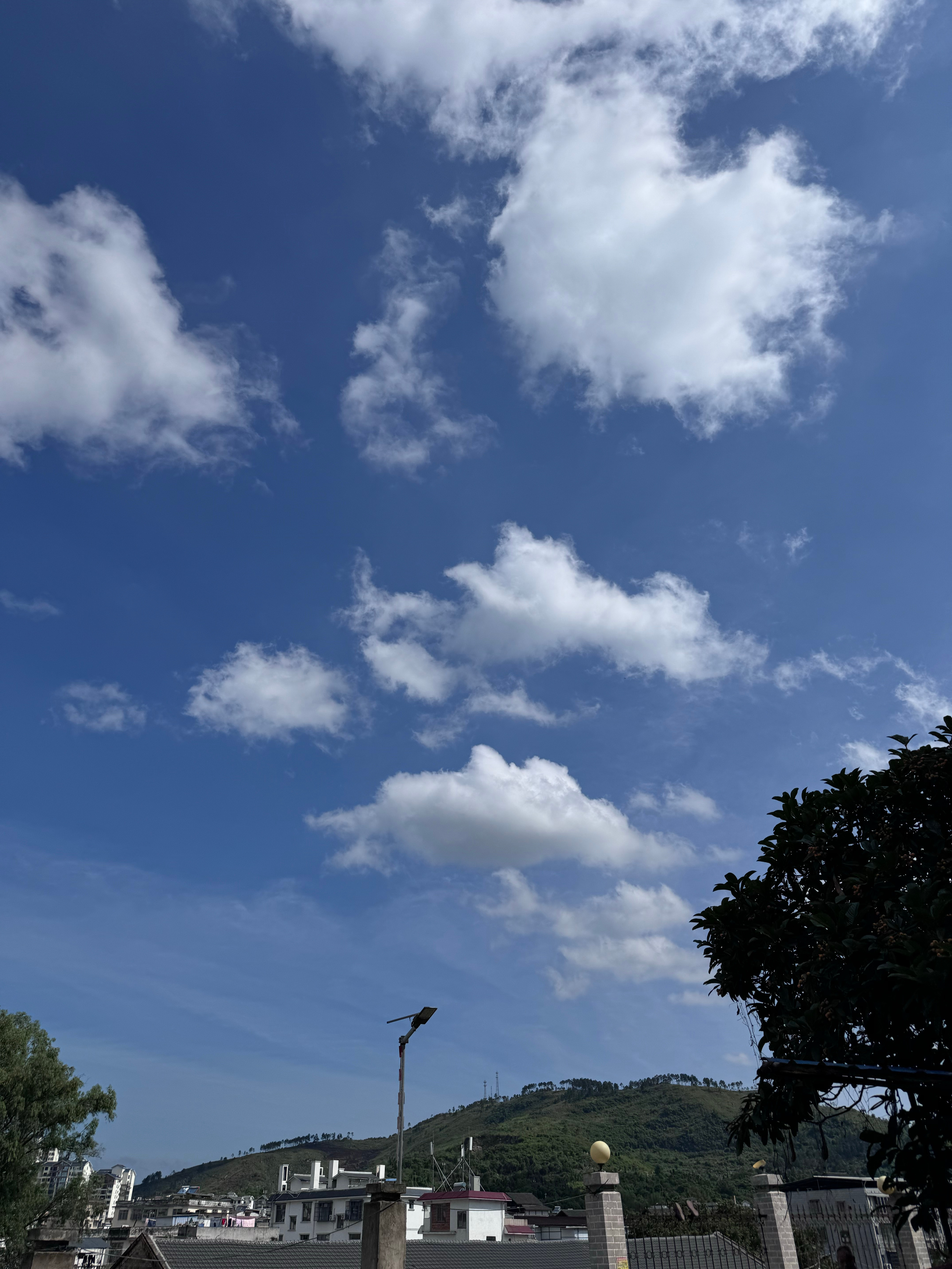 这天气真不错