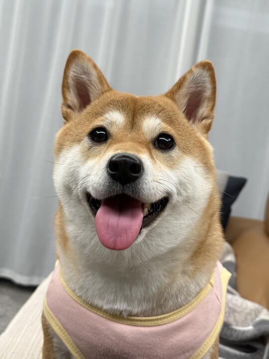 人，你看看我的舌苔