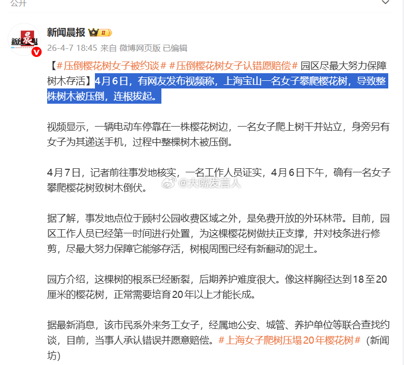 上海女子爬树压塌20年樱花树   看到有人说这是新成语----不堪重妇【4月6日