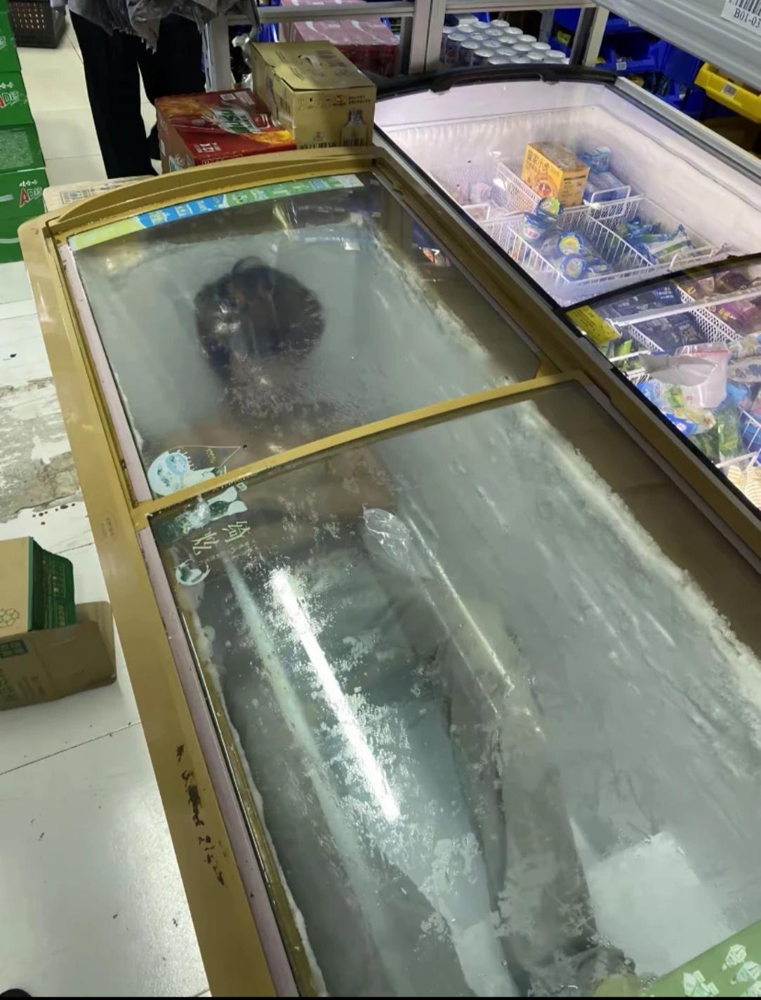 零下8度，这下该睡得着了吧！