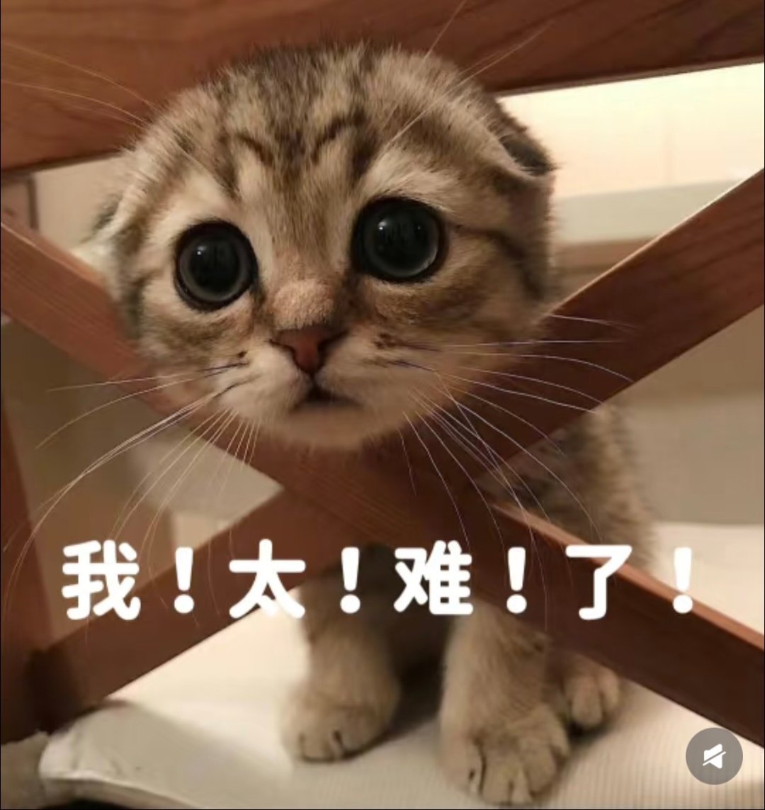 你知道共享充电宝会造成信息泄露吗所以我都是自备充电宝，就怕泄露信息[捂嘴哭] ​