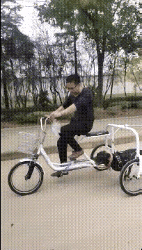 这才是遛狗的正确姿势。