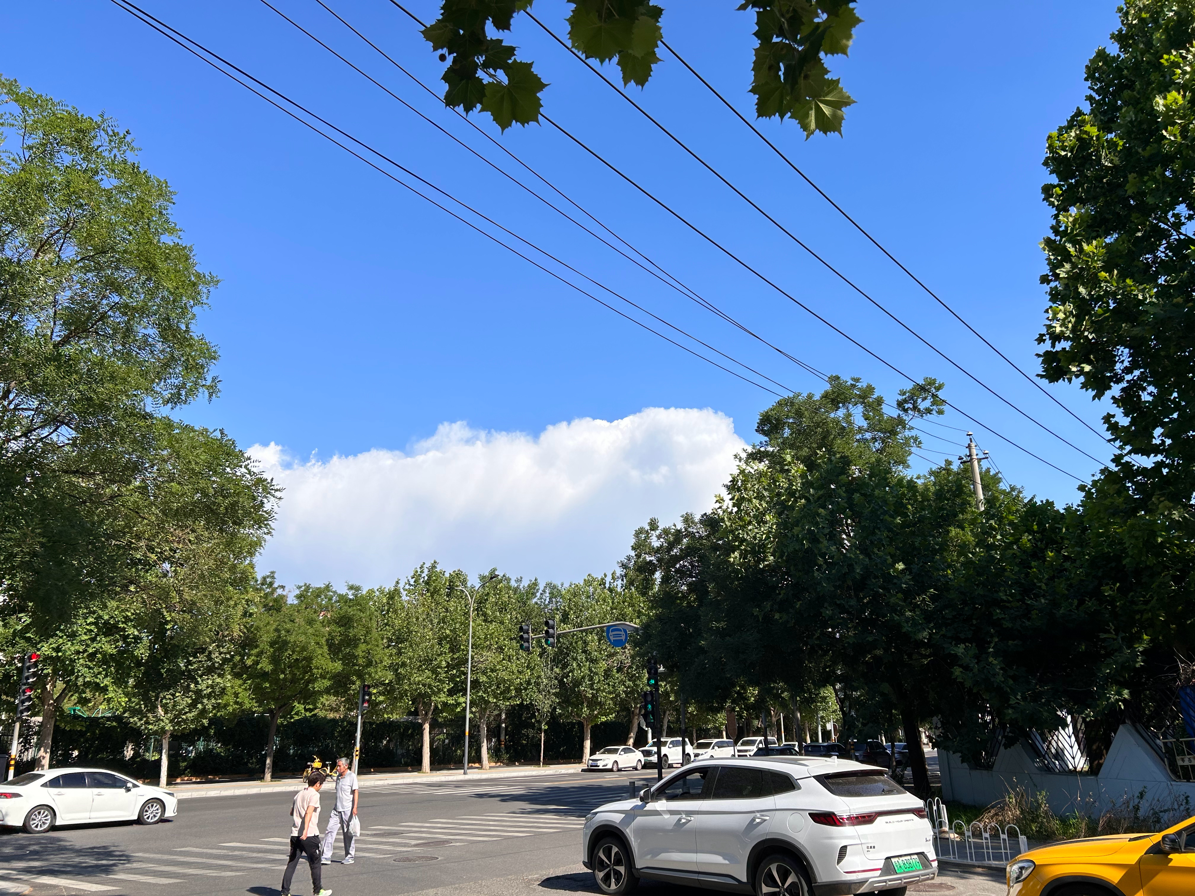 今天的北京，美的不像话。科技张老湿 北京