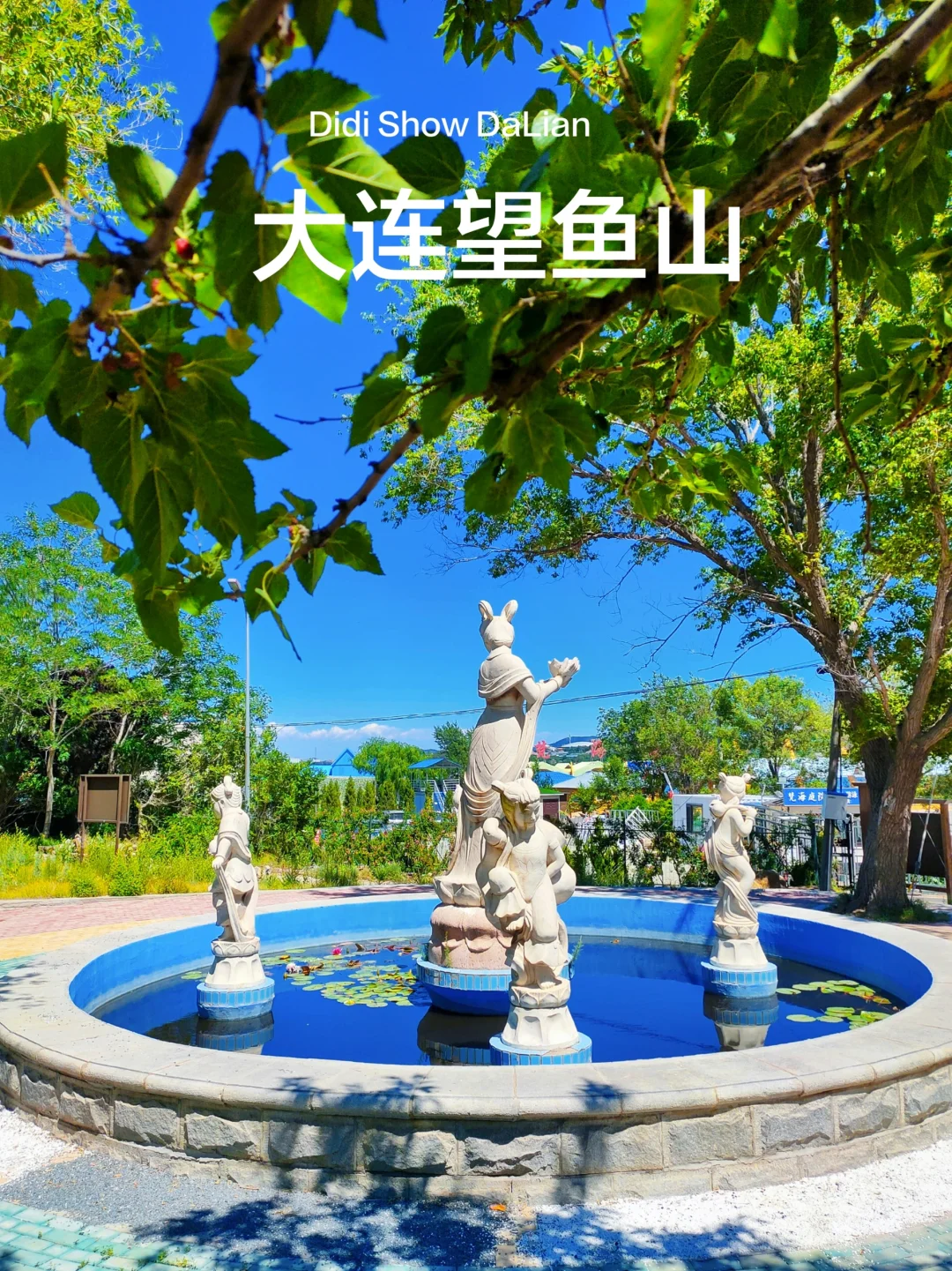 大连望鱼山