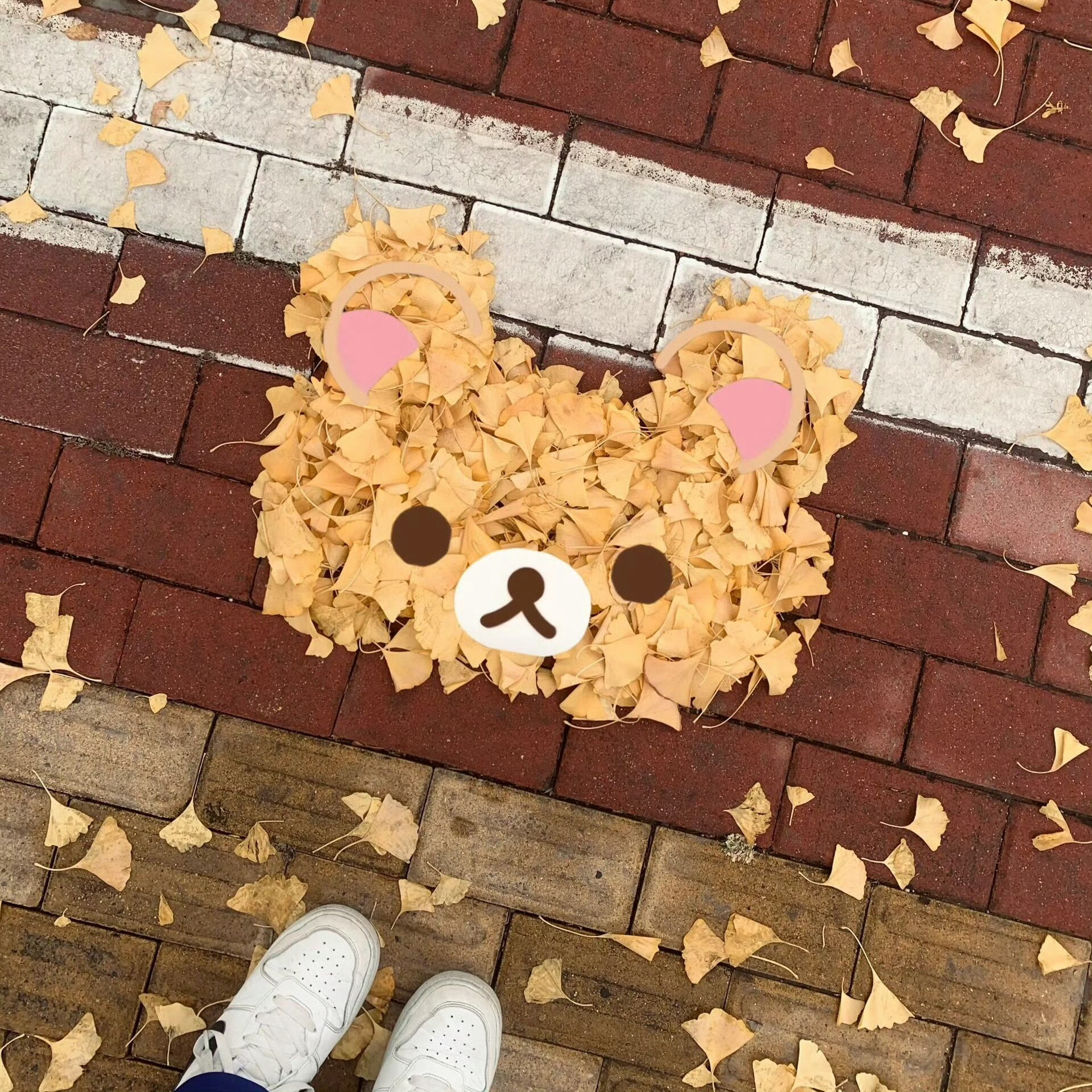 更新一组小众WeChat朋友圈背景图 .ᐟ‪.ᐟ 
