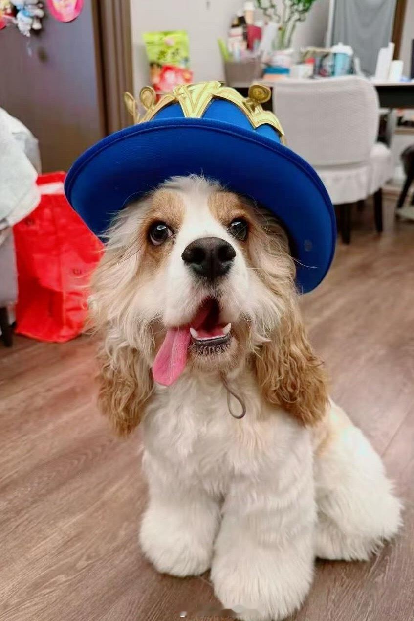 可爱比比！最近阿翠又穿了小裙子拍了好看的照片～河野華[超话] ​​​