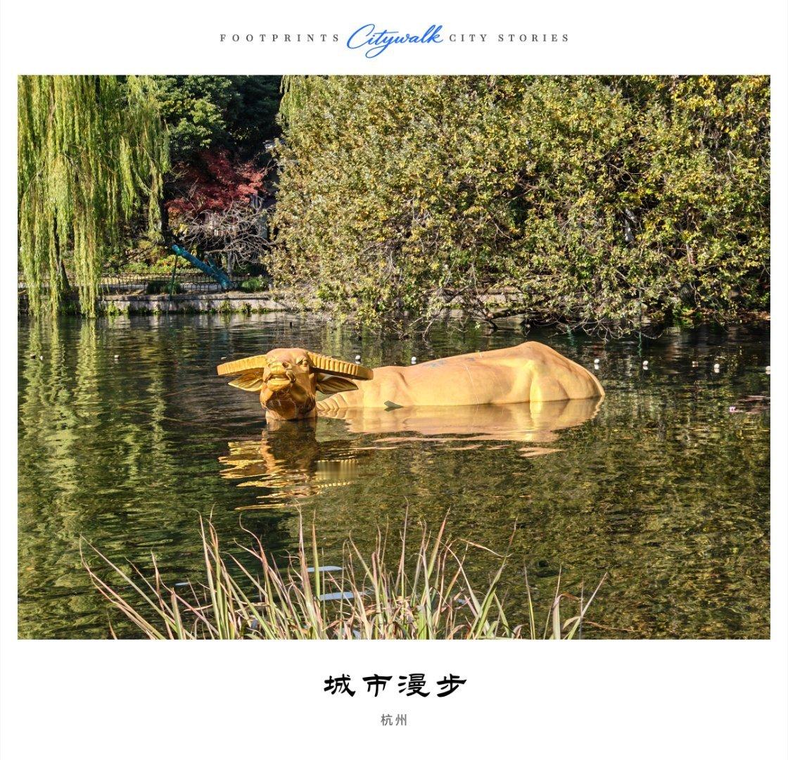 金牛出水！据说看到的人都会带来好运。📱：荣耀Magic8手机随手拍