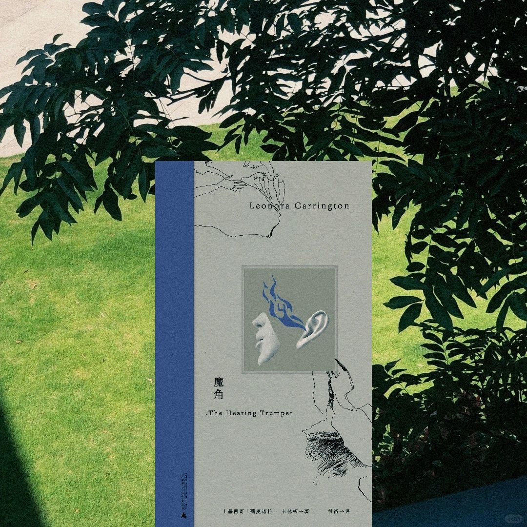 《魔角》：在现实中嗅取自由