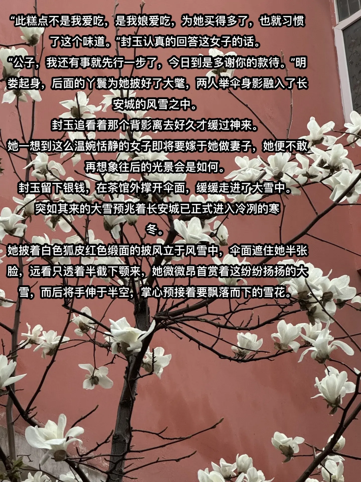 一听到这个音乐，脑子里就会慢慢想起她们前九世其中一世的相遇…