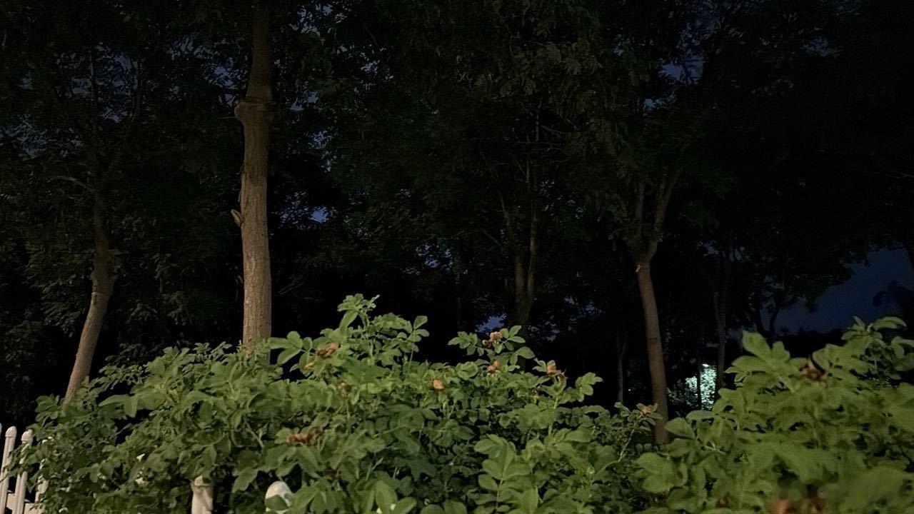 夜幕。 