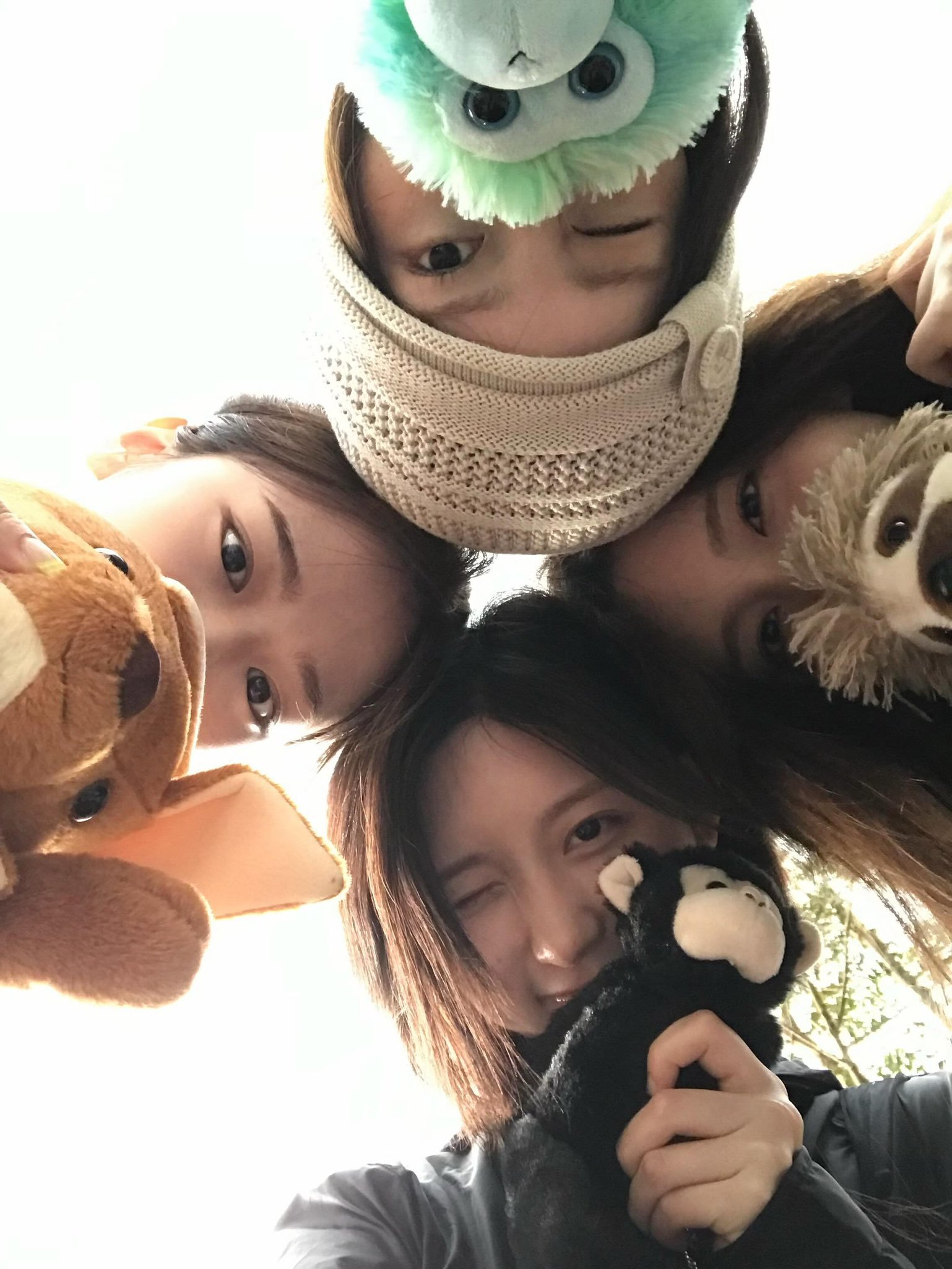 🍁ig更新🎀相关 
