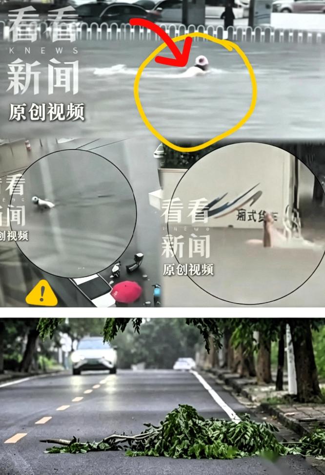 沈阳：暴雨来袭，街头有人蝶泳、蛙泳、自由泳

沈阳的暴雨来了，雨势凶猛，尤其是夏