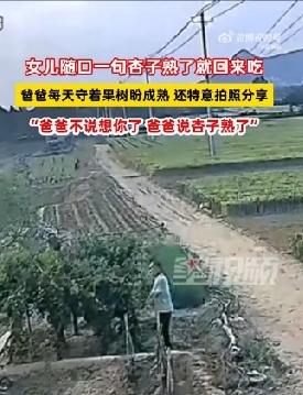 山东泰安，女生回家时随口和父亲聊起家常，轻轻说了一句：等杏熟了我就回来吃。只是一