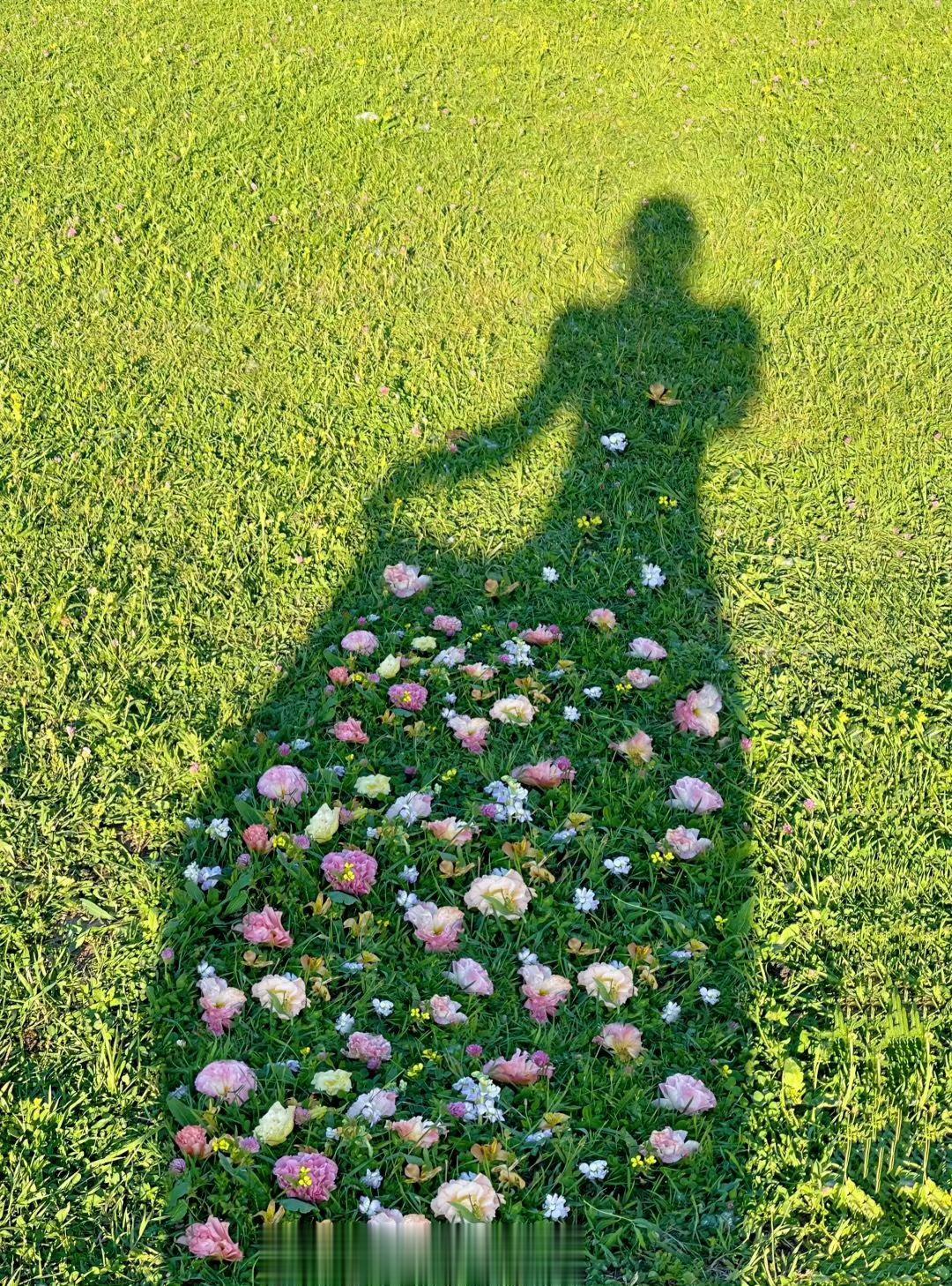 #来新疆就连影子都长出了花#哇哇哇哇哇好唯美的画面，想去 ​​​