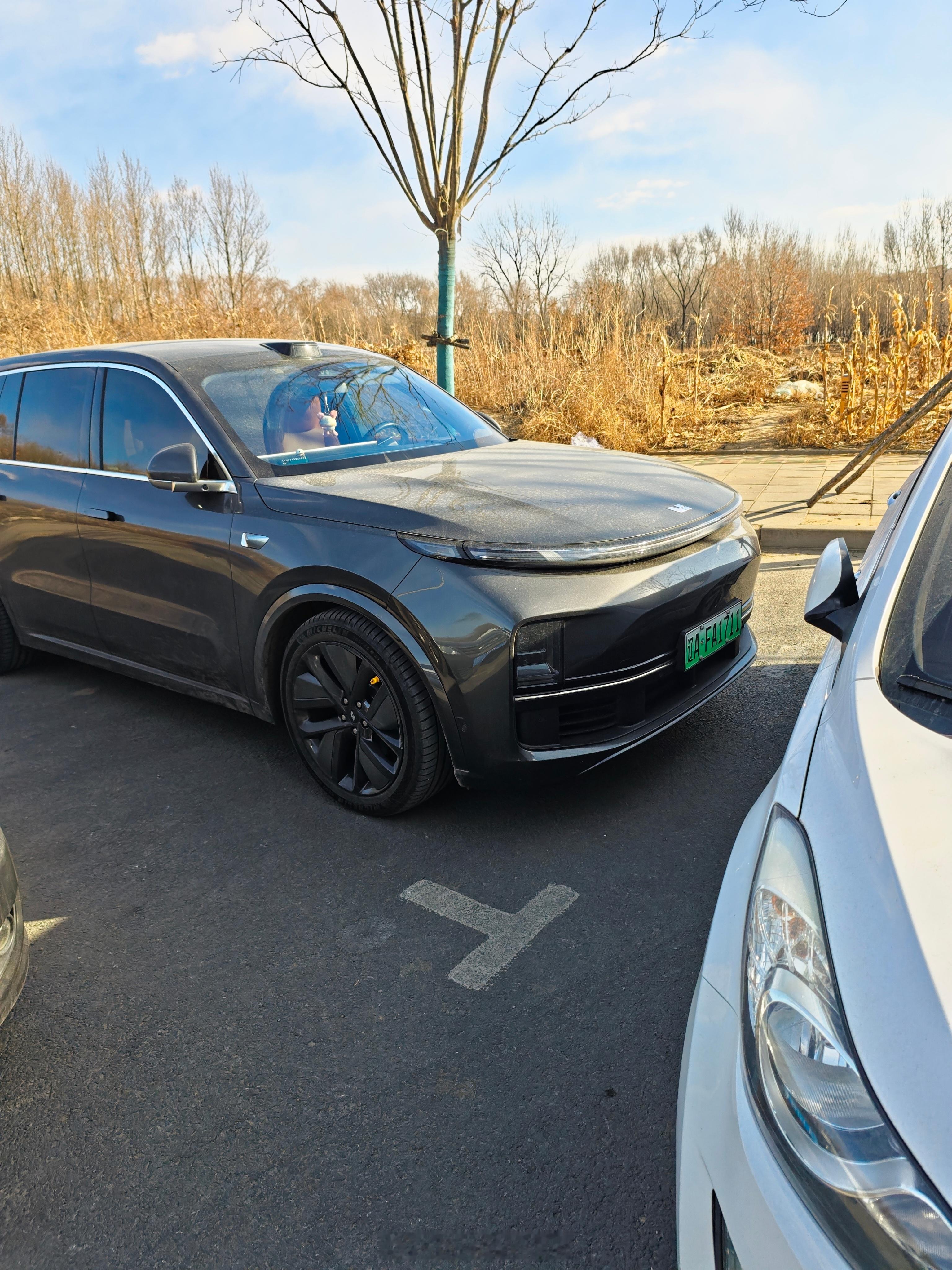 倒反天罡了说是。把不违停的理想车主堵车位里了。 下次我准备把脑袋探出去一点。 