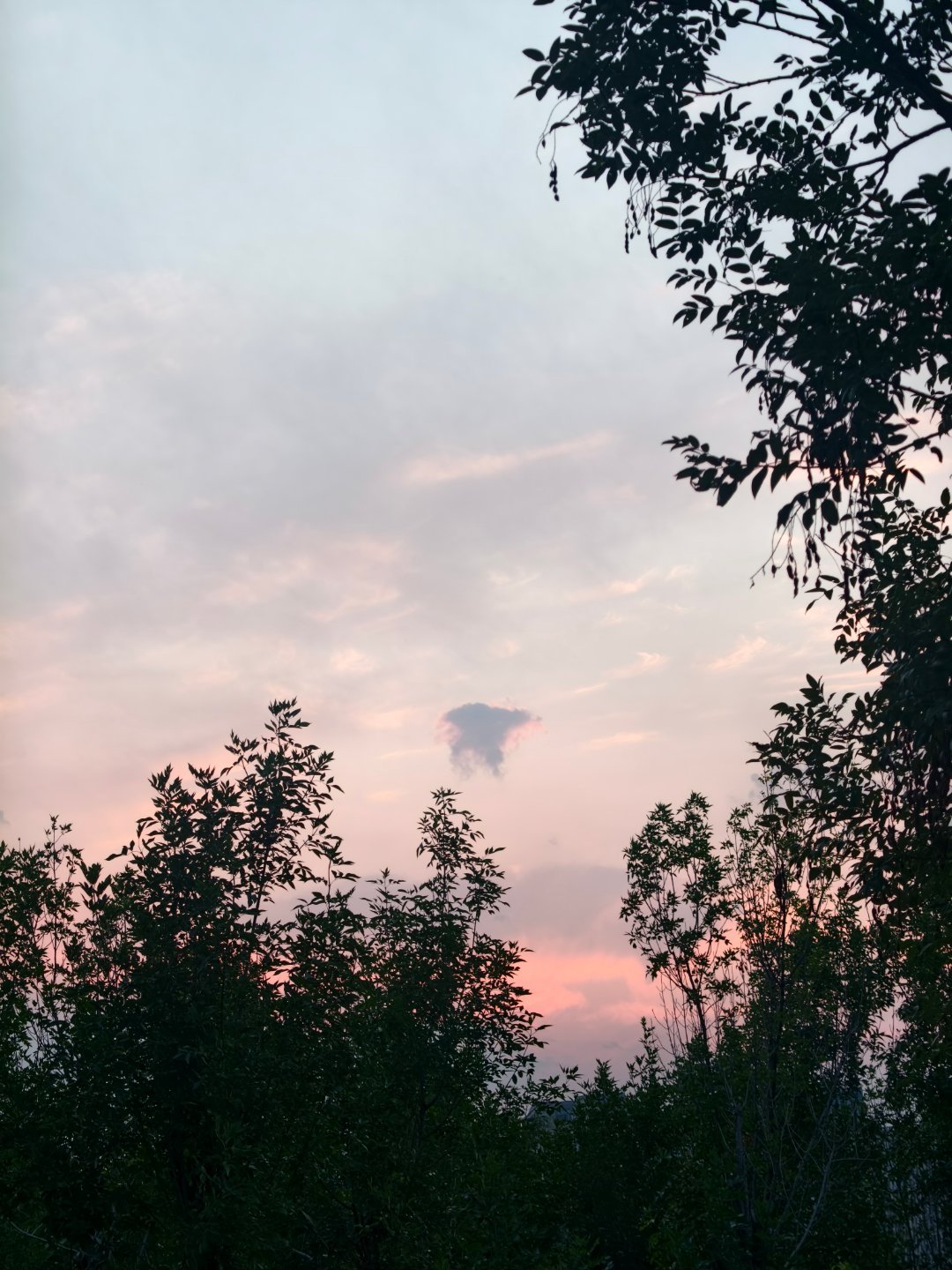 乳状云 特大暴雨此刻一家四口公园溜达，一直惊叹今天的云好漂亮，但是一直有强对流黄