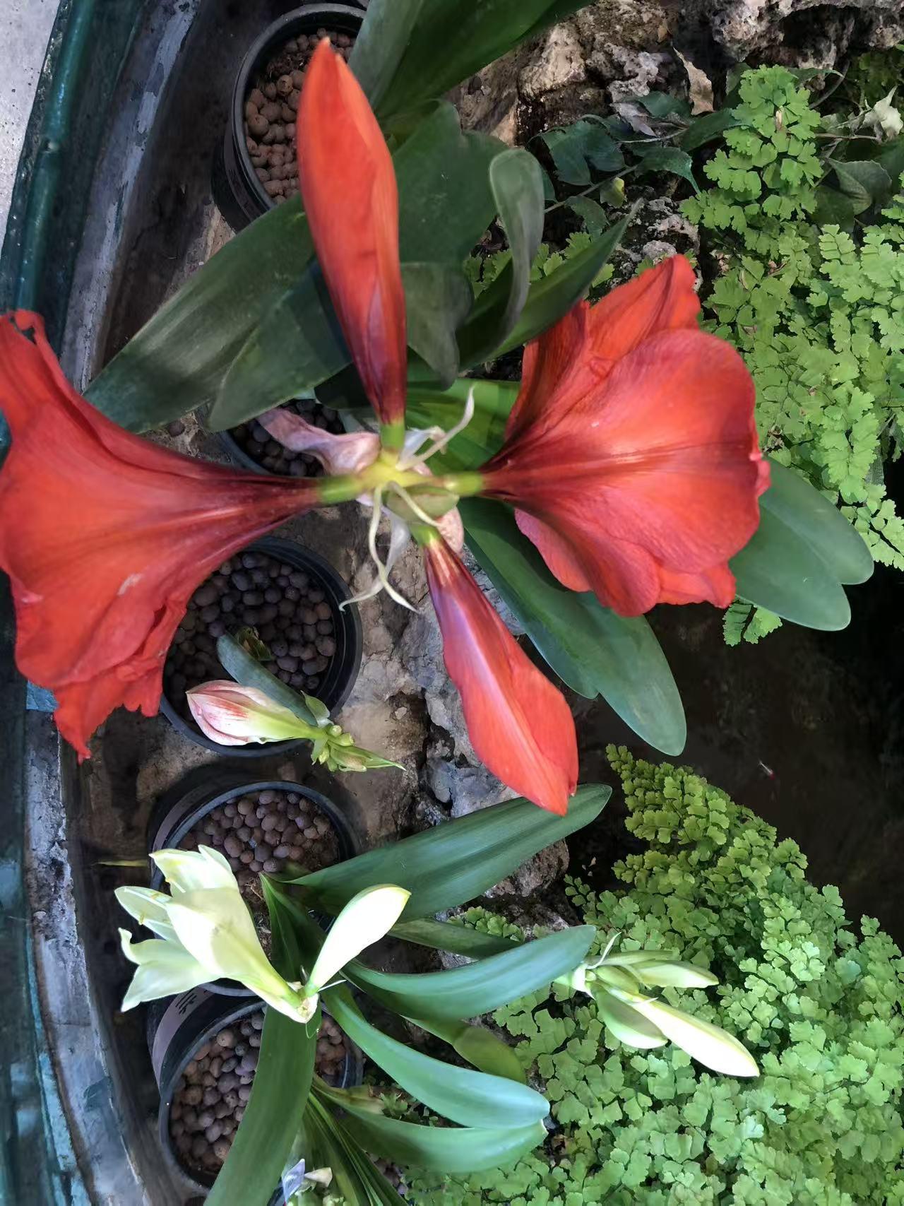 晒图笔记大赛中山公园风景秀丽