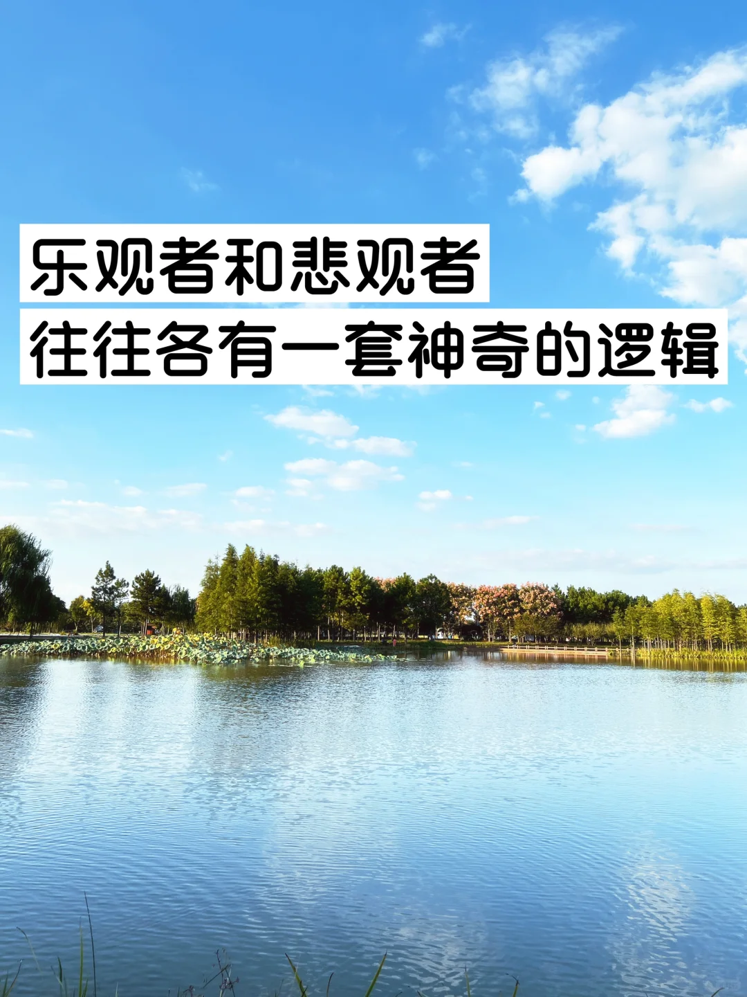 乐观者和悲观者，往往各有一套神奇的逻辑！