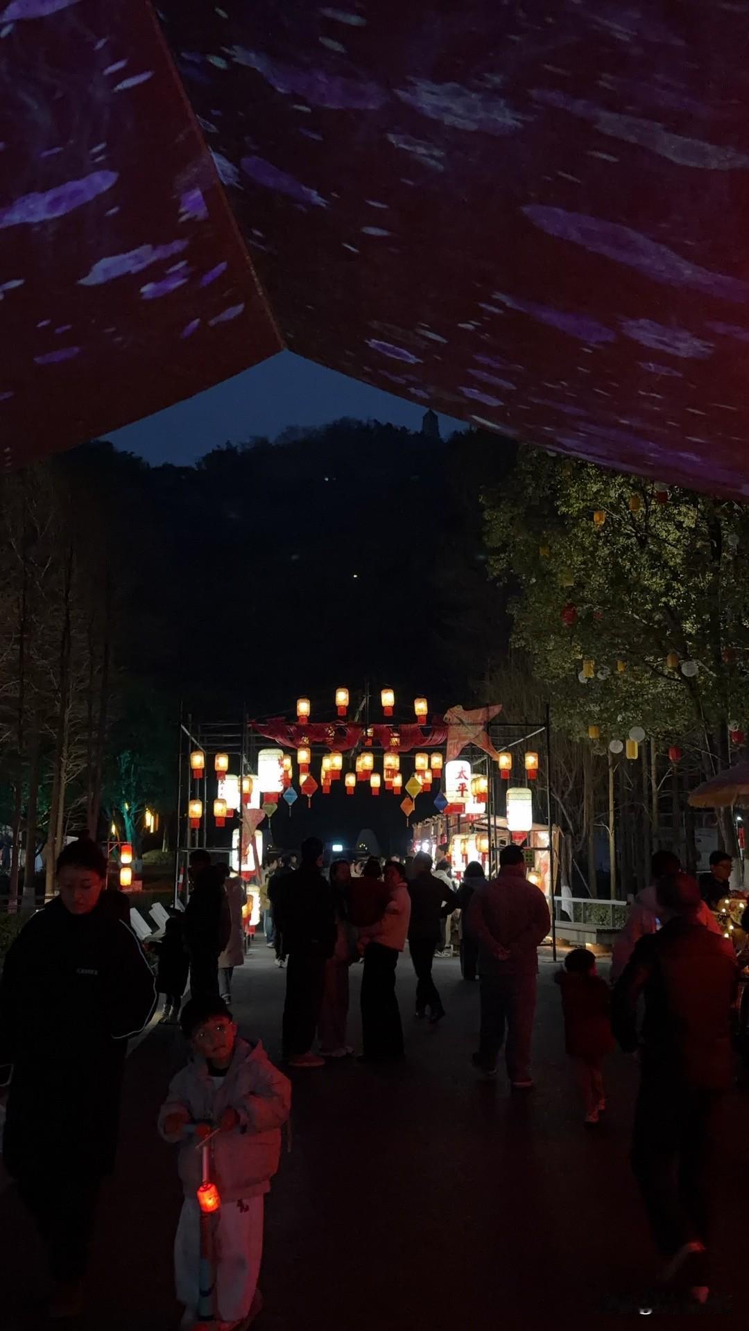 临安博物馆灯火映元宵，星河落人间。一盏盏花灯点亮夜色，流光溢彩，温柔了团圆时光。