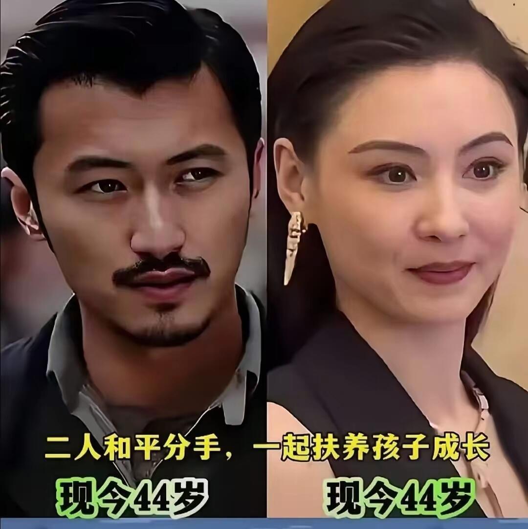 娱乐圈离婚夫妻，哪对最可惜？ 