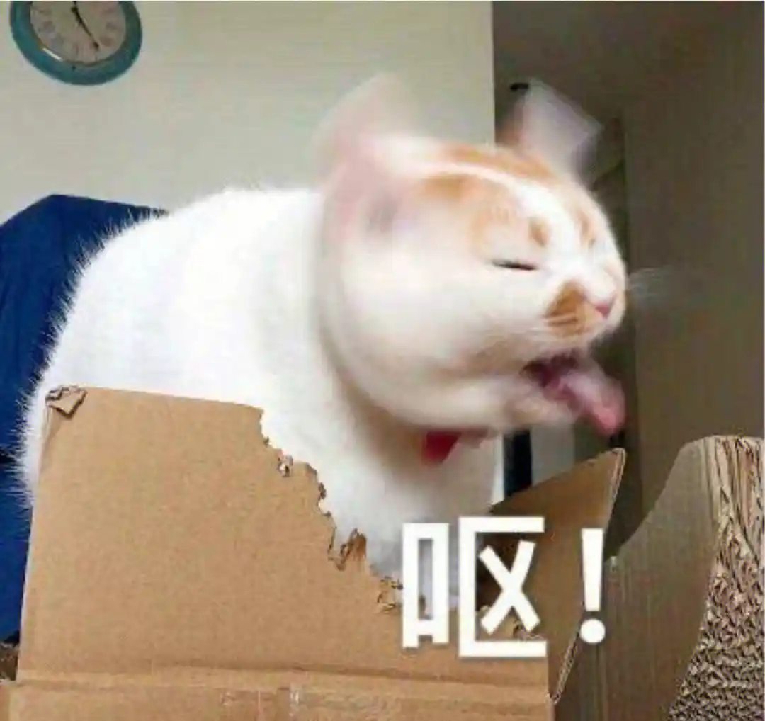 每天一个冷知识 成年麝雉与大多数鸟类依靠砂囊研磨食物不同，它通过前肠微生物发酵将