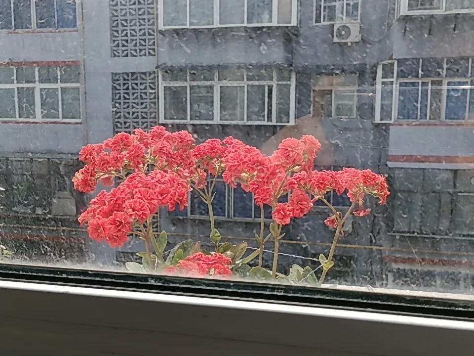 经典观点：股市是经济的晴雨表。
散户最新研究观点：A股不是经济的晴雨表，A股是世