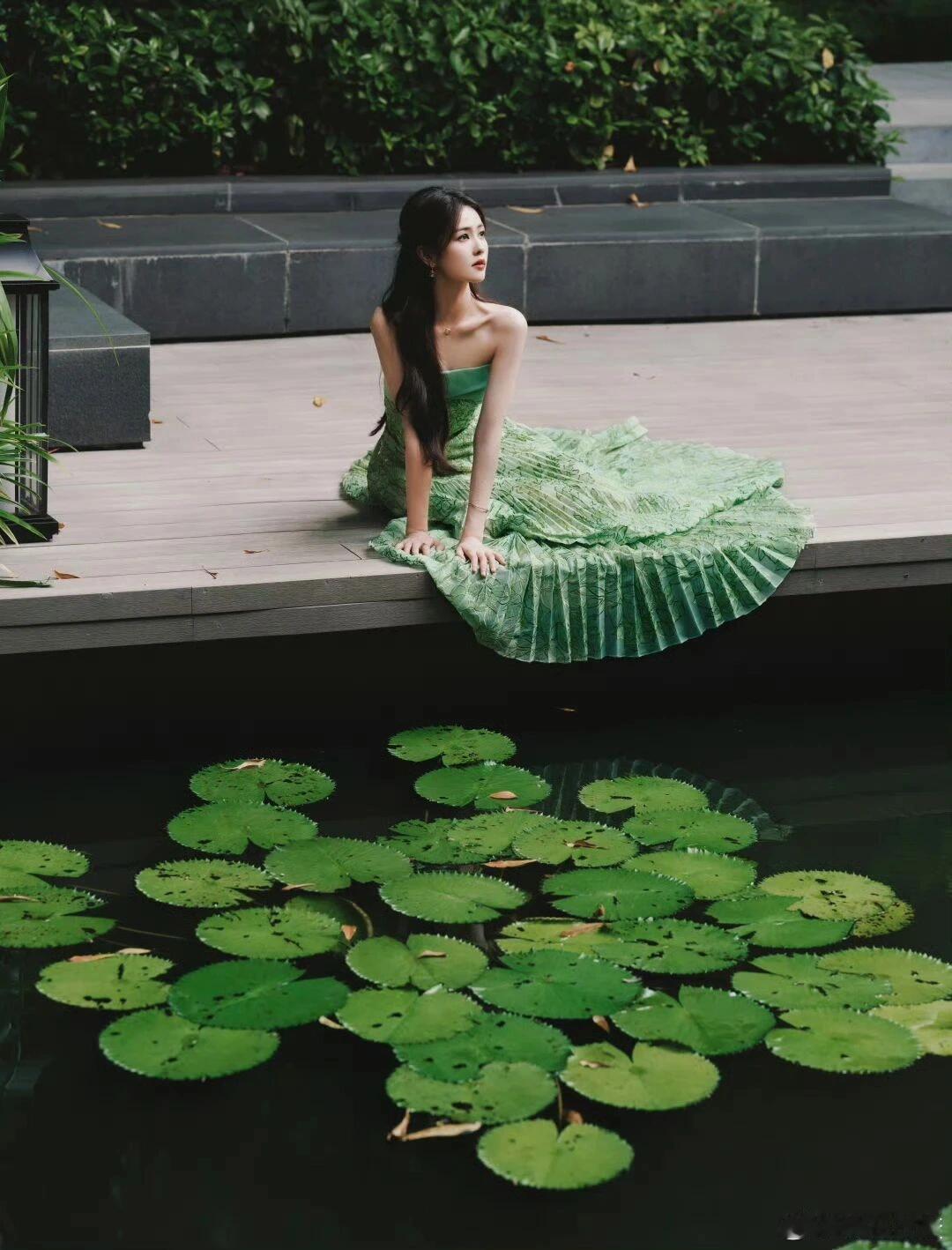 白鹿  白鹿头像白鹿｜ 