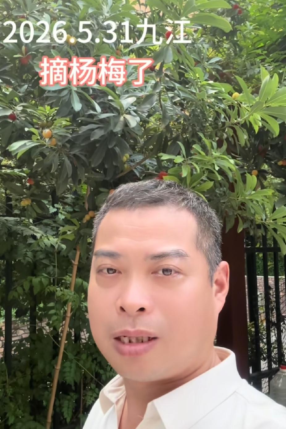 男儿发作品：在和姚爸摘杨梅

大姐直播时，有网友告诉大姐，看到男儿发视频，跟姚爸