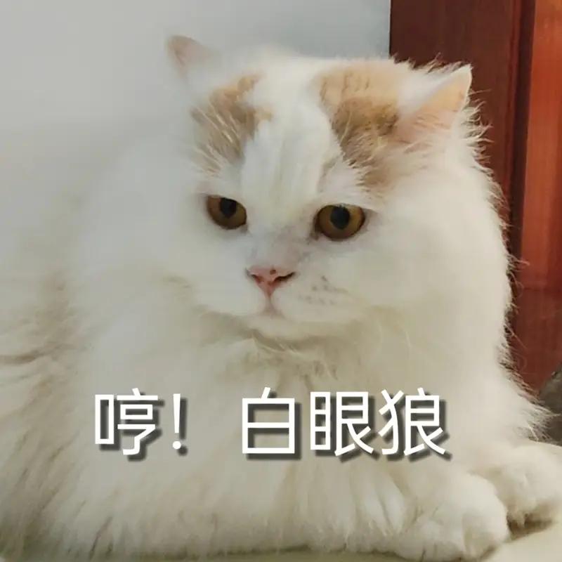 越南是养不熟的白眼狼，一直是口服心不服，一直暗中较劲，一直在等待咸鱼翻身的机会。