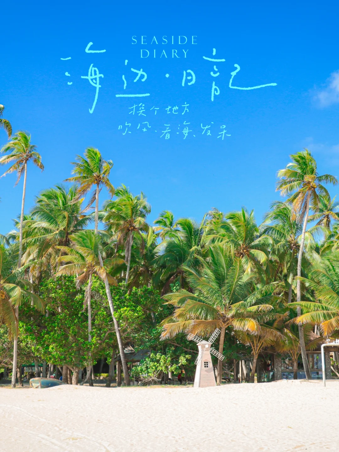 到有风的地方，赶一场海……