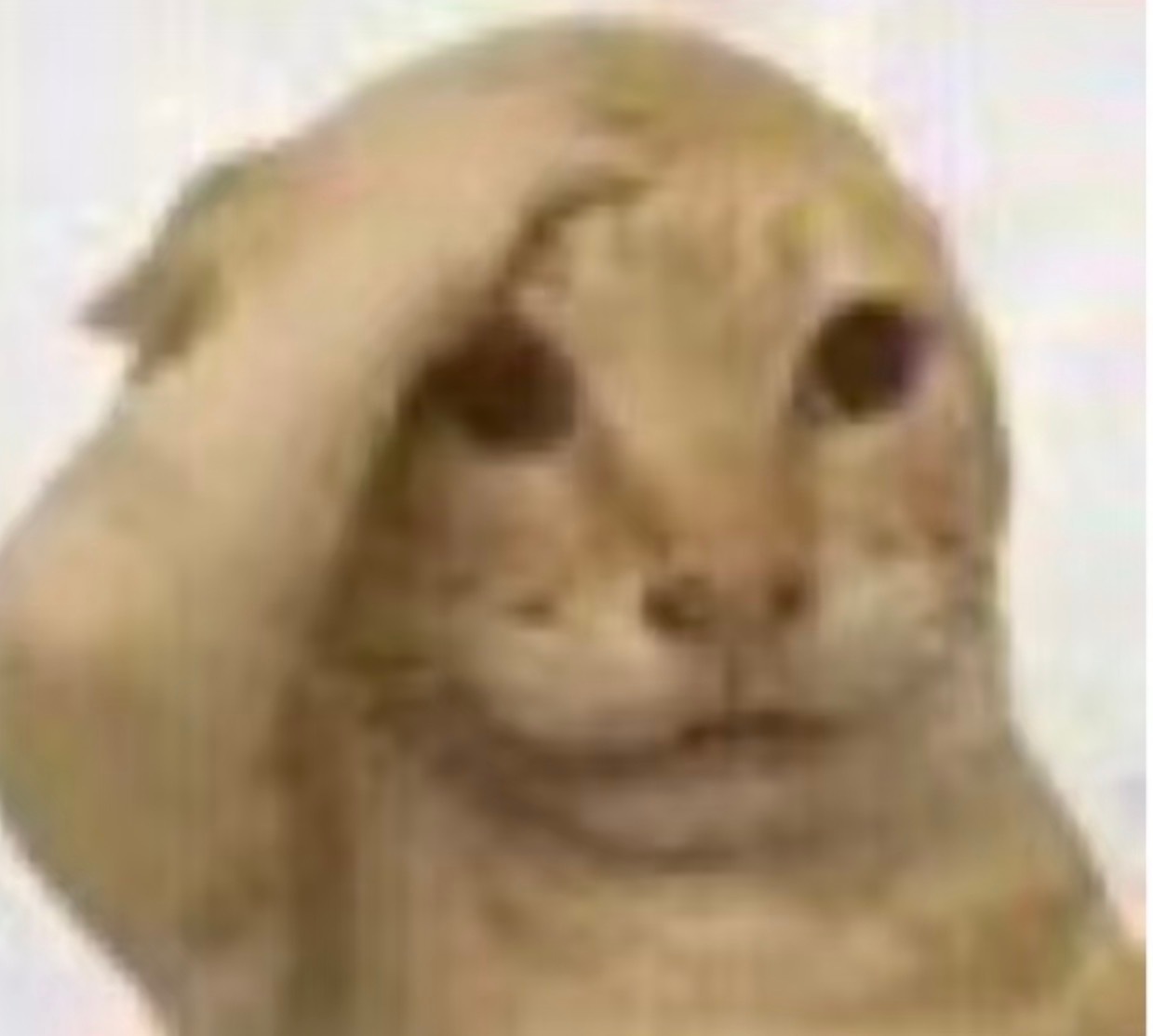 这个三月休听试图统一饼圈度量衡来治我（有点子幽默 