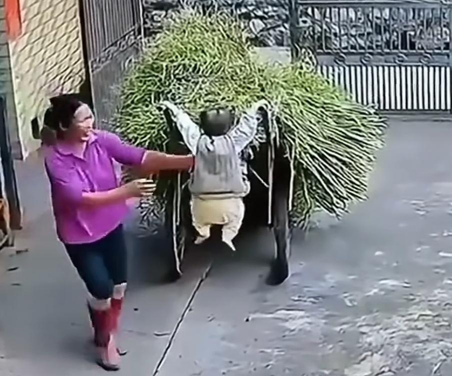家长怎么想的，难道不怕孩子有个三长两短吗？图一家长转身的功夫，孩子被排子车把带上