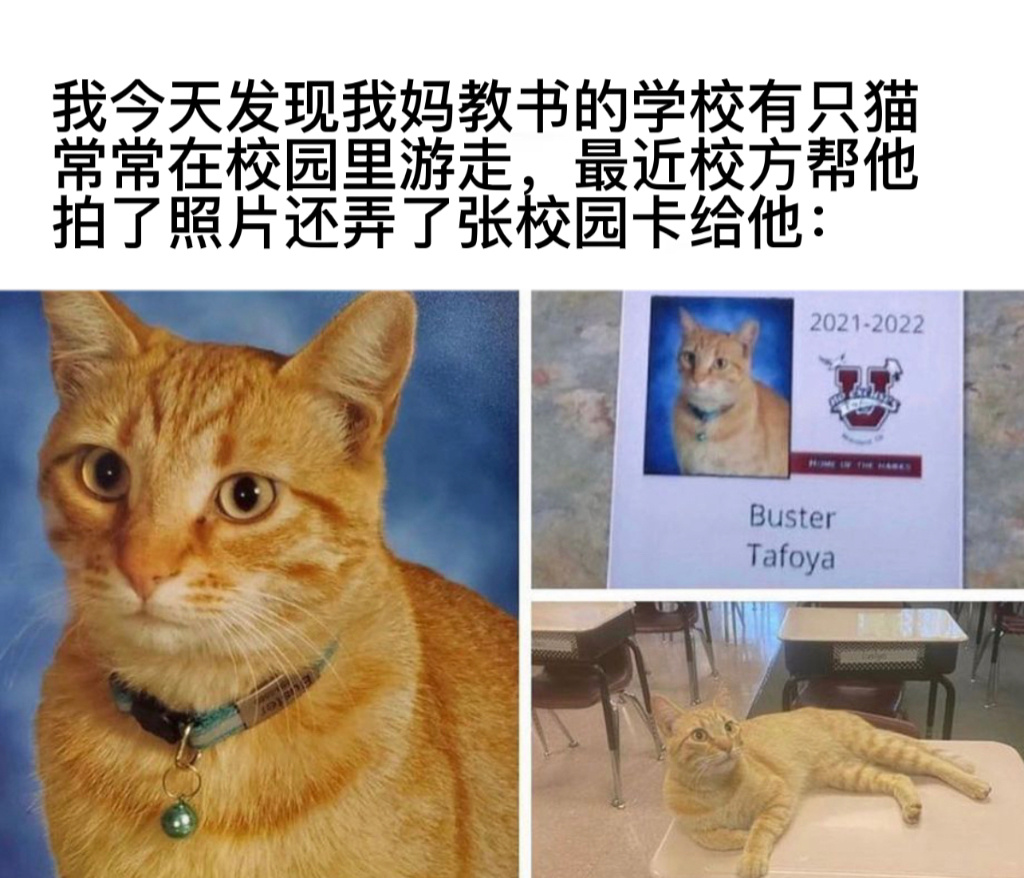 收编了#今日memes# //#新年快乐漫游指南# ​​​