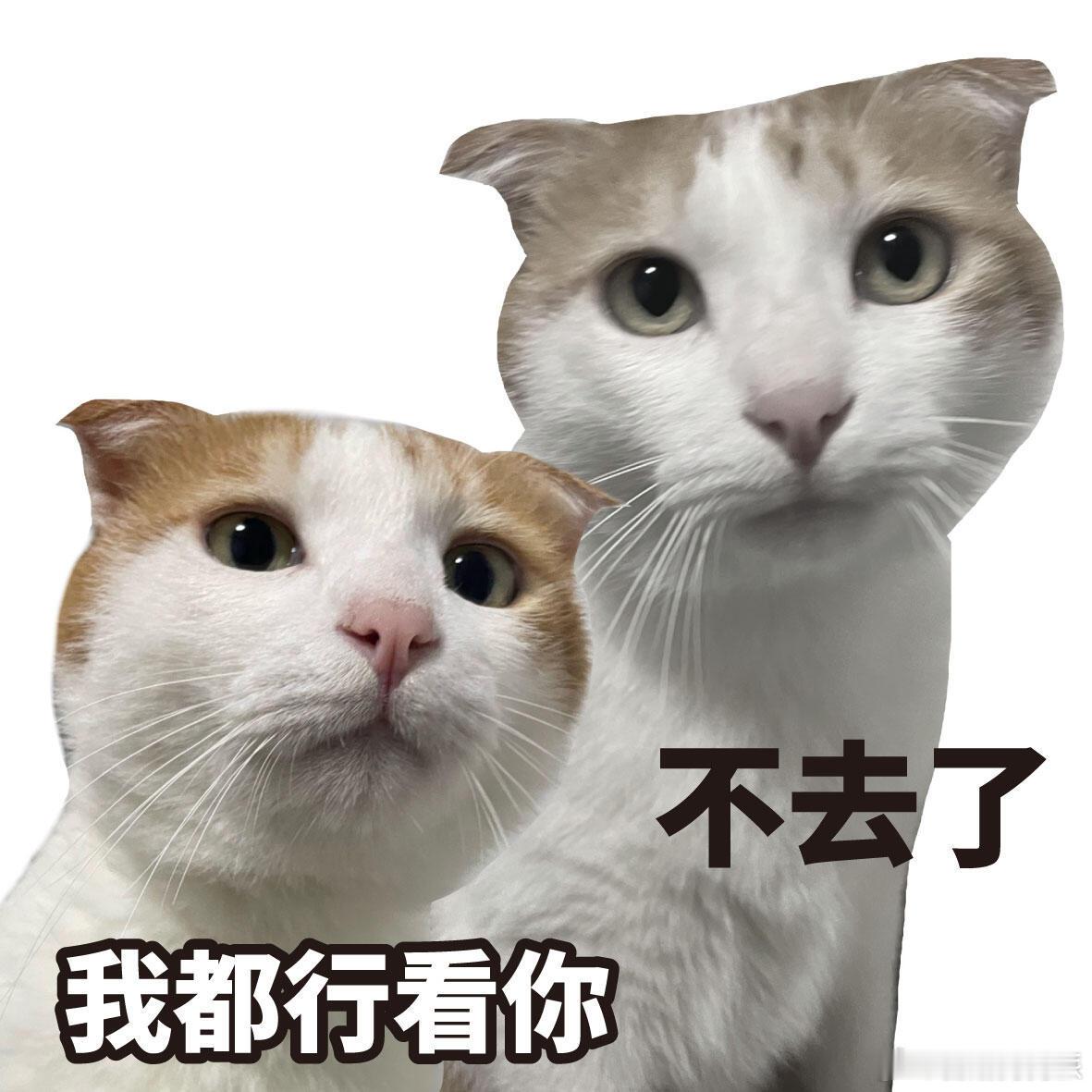 语言的艺术我大学特学 用心修炼说话技巧，让每句回应都恰到好处，避免冷场与冲突，沟