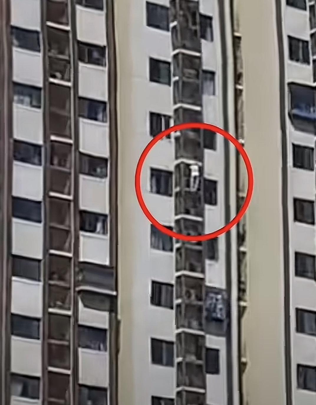 这世界太疯狂了，前有幼儿园小妹水枪劫持亲弟弟要玩具，这又有89岁老奶奶徒手爬楼！