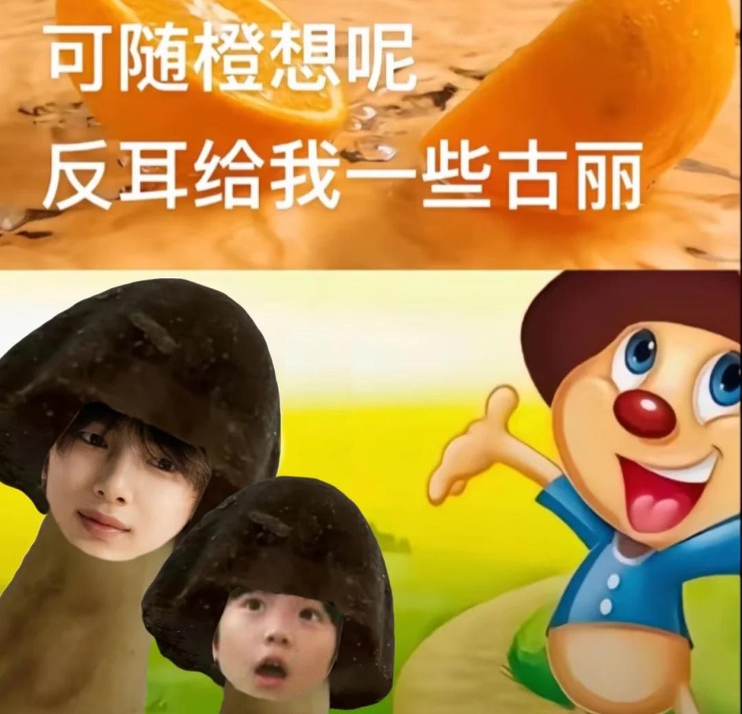 猪古力
金主训 juhoon cortis