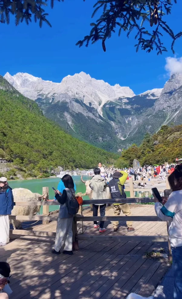 玉龙雪山7月10号实况，天气真好适合游玩