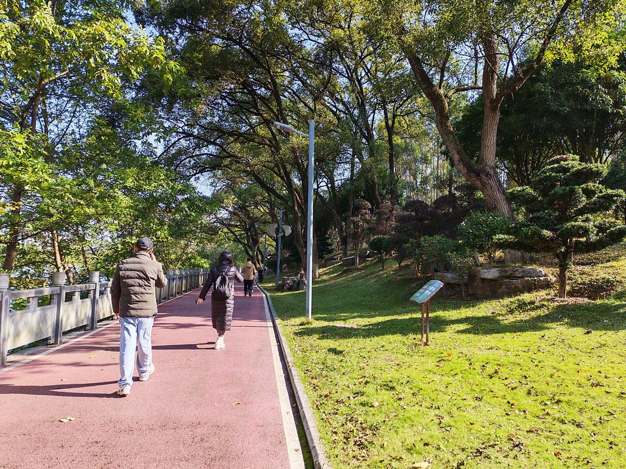 春寒突袭！翻出压箱底的厚外套，在林荫道里接住阳光🌿

 以为春天来了就能轻装上