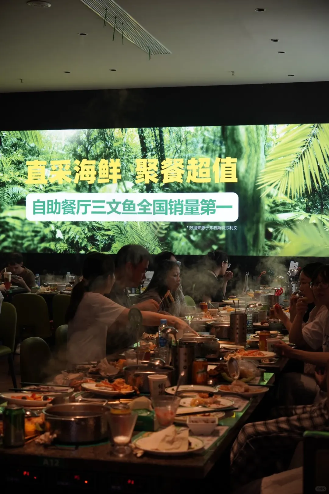 武汉过生日有这种好地方你们都不说…