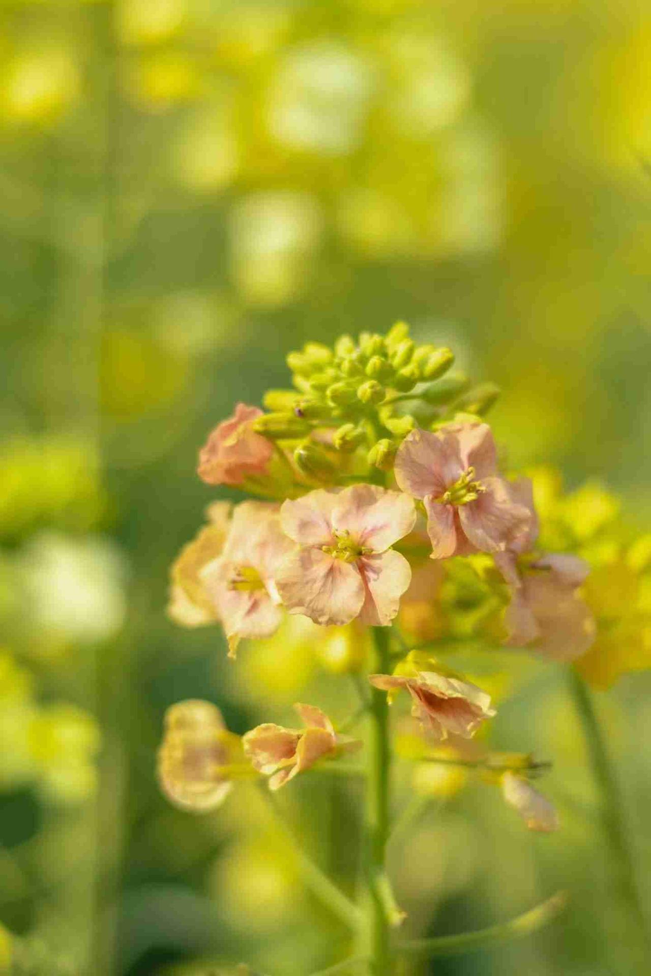 我的今日状态：😁轻松愉快
我这里的天气：🌧下雨