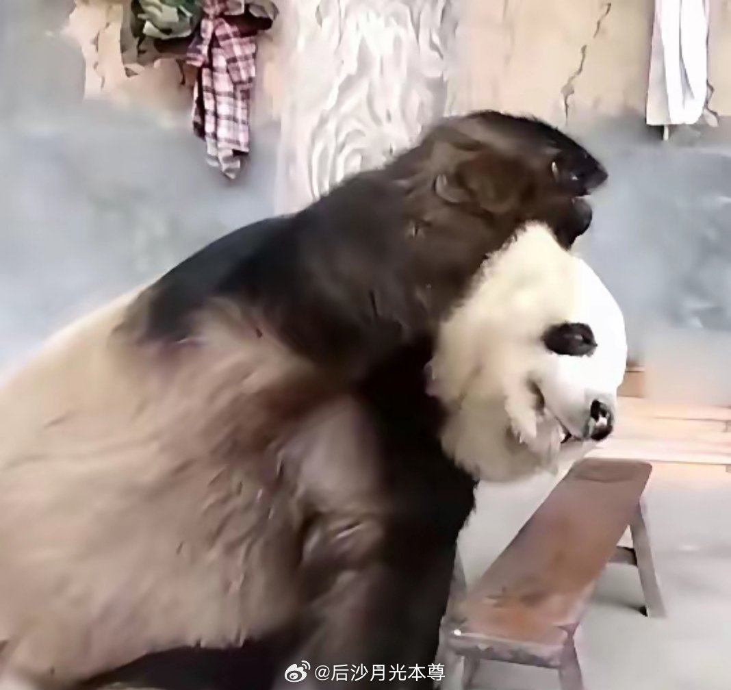 陕西佛坪三官庙无业青年熊某，在当地横行多年，经常下山偷吃村民蜂蜜，还故意扔掉别人
