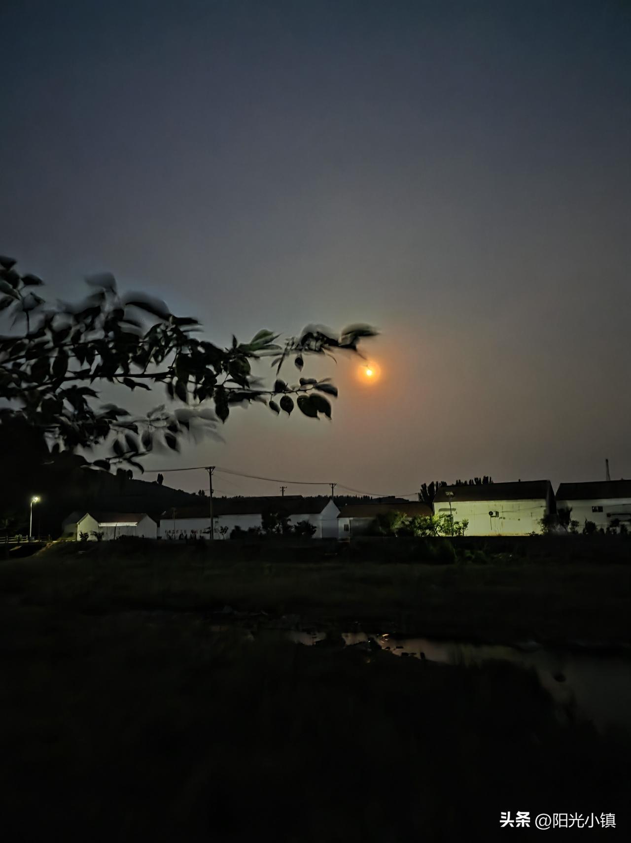 最近晚上有了一个新爱好……

夏至以来，晚饭后等来家聊天的乡邻8：30左右离开，