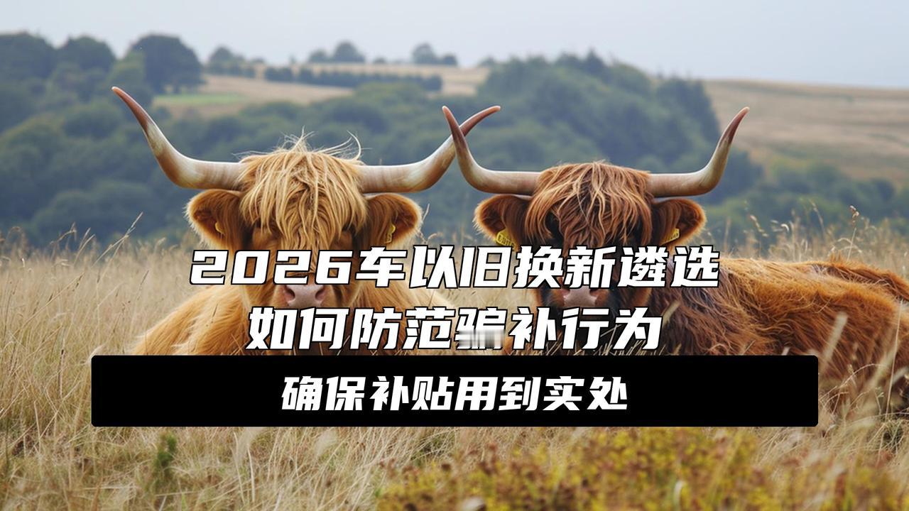 多地已开启2026年国补推进工作，将严控骗补套补、黄牛代抢
重磅！2026年国补