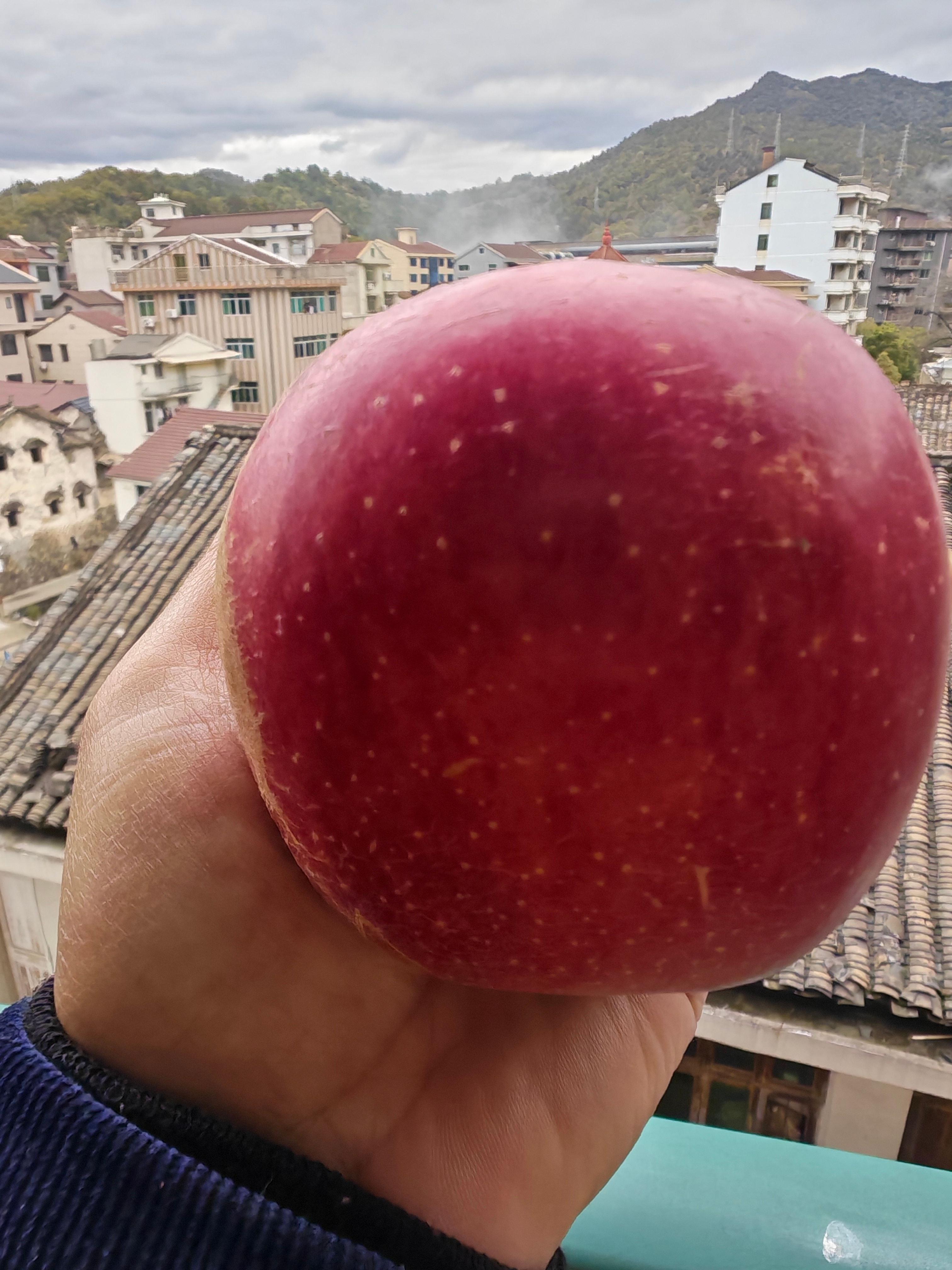 我国苹果产量和消费量世界第一我喜欢吃脆甜的大苹果！不喜欢那种粉苹果。手机嘛，觉得