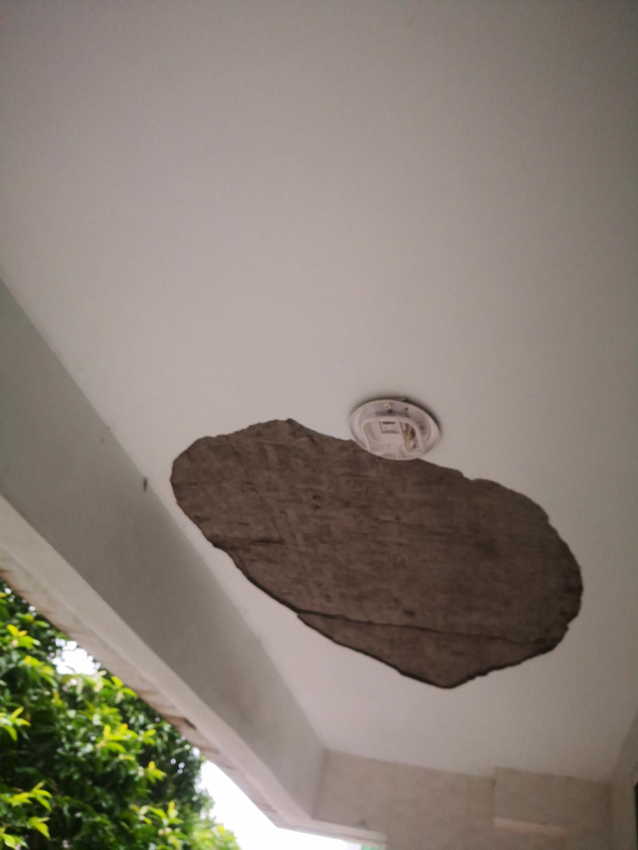 昨天下午，我使用近20年的阳台上抹沙脱落了一大块，面积近两平米。是我的责任呢还是